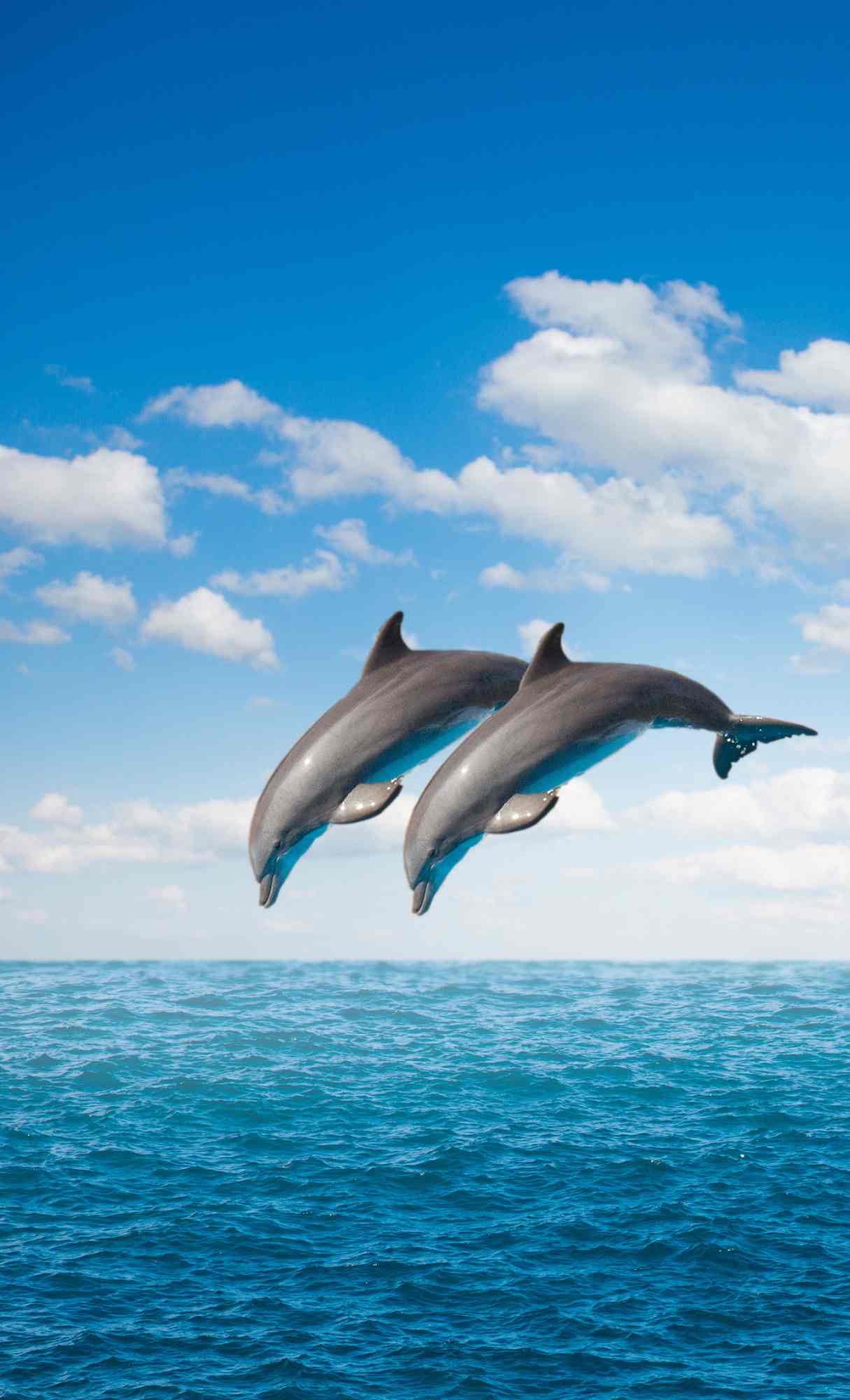 4k ocean wallpaper