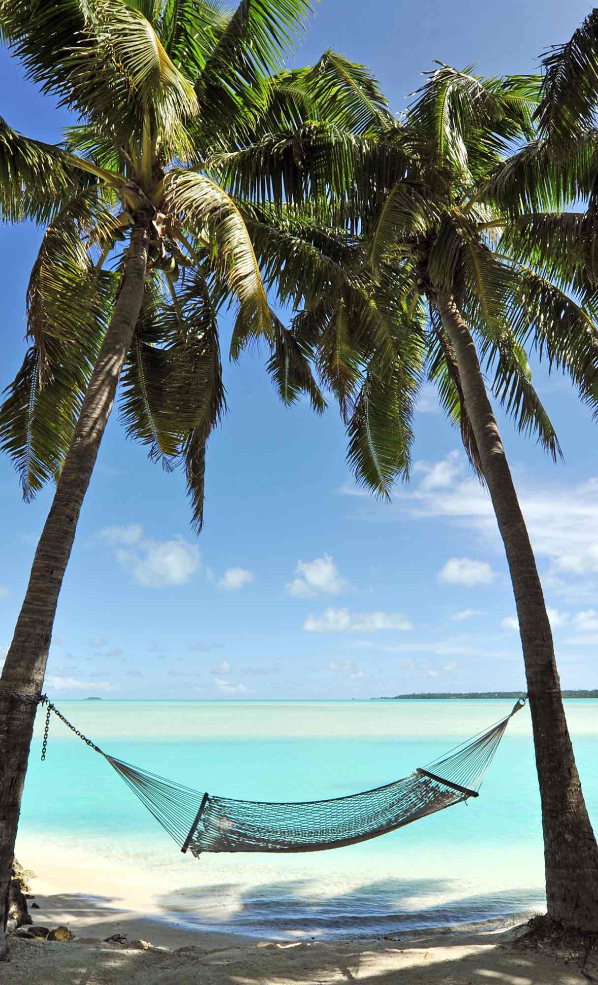 summer ocean wallpaper