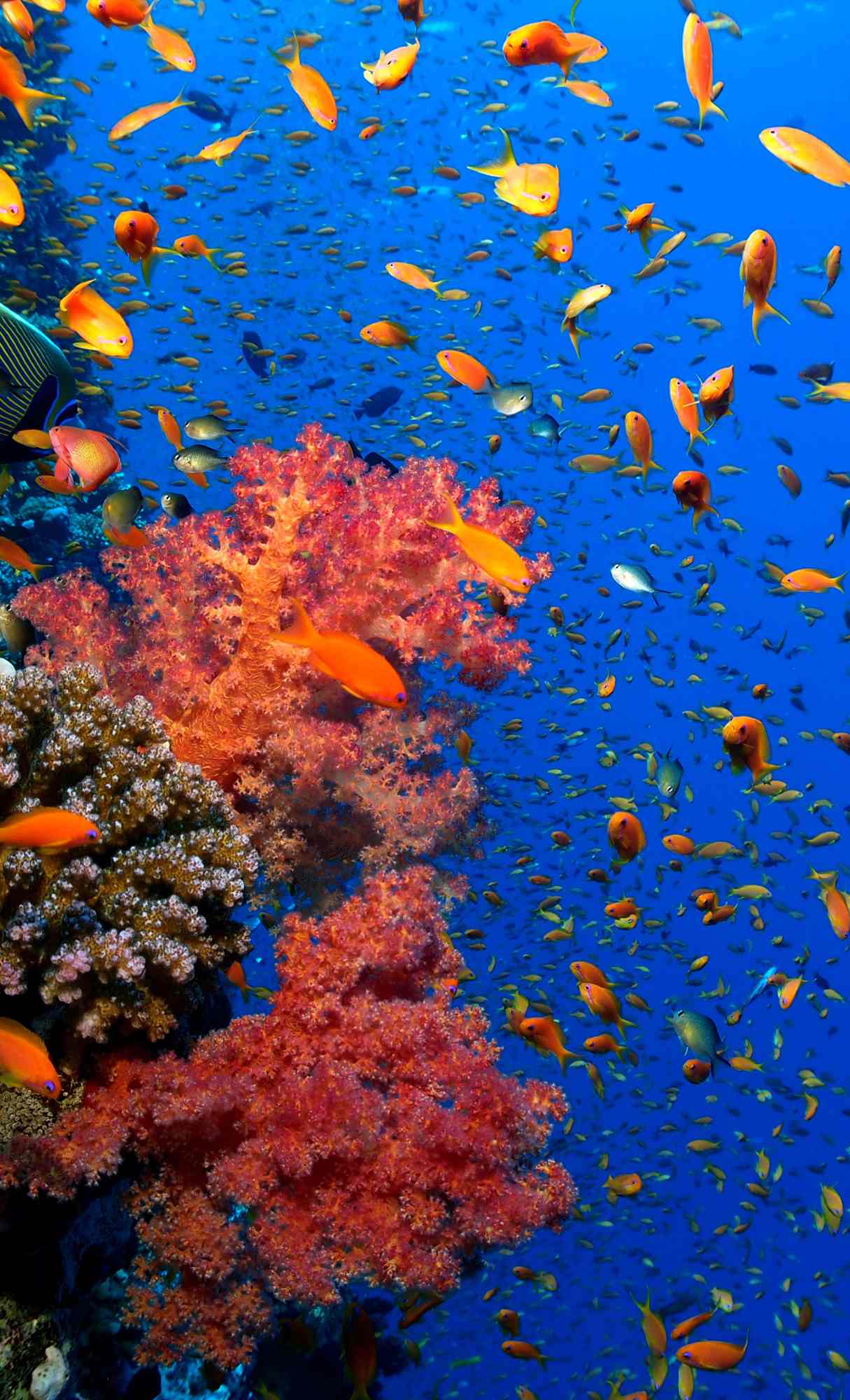 hd ocean wallpaper