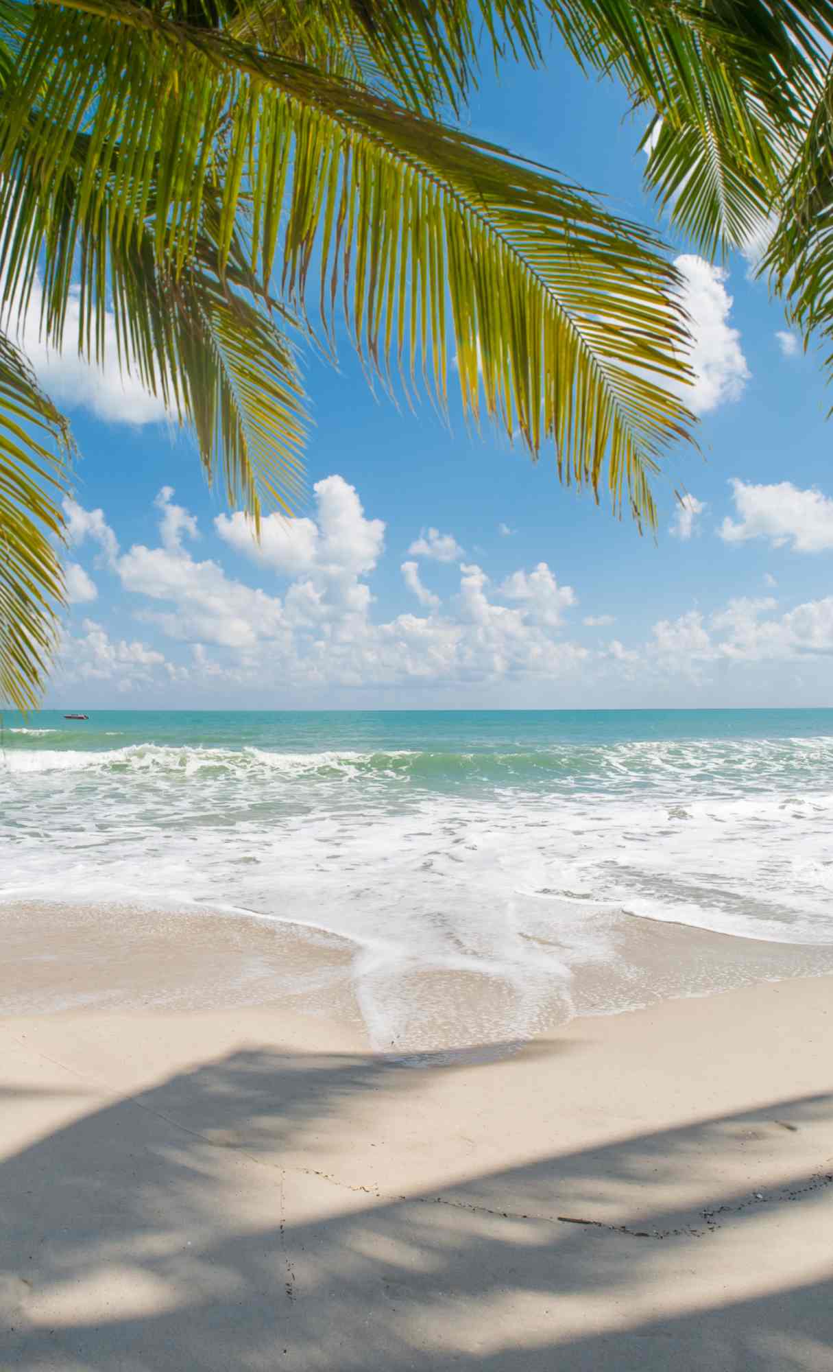 summer ocean wallpaper